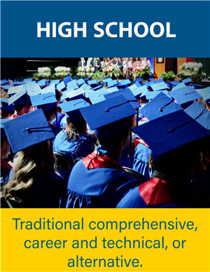 Traditional comprehensive, career and technical, or alternative.